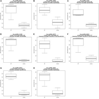 The Integrative Regulatory Network of circRNA, microRNA, and mRNA in Atrial Fibrillation